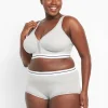 Brief Panties^Lane Bryant Cotton Full Brief Panty With Wide Waistband Light Grey