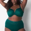 Brief Panties^Lane Bryant Cotton High-Waist Brief Panty With Lace Waist June Bug