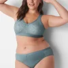 Hipster Panties^Lane Bryant Cotton Hipster Panty With Lace Lead