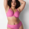 Thong Panties^Lane Bryant Cotton Thong Panty With Wide Waistband Heather Pink