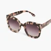 Sunglasses^Lane Bryant Floral Plastic Cat Eye Sunglasses Lavender