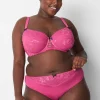 Cheeky Panties^Lane Bryant High-Leg Cheeky Panty Pink Yarrow