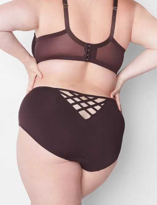Hipster Panties^Lane Bryant Lace Hipster Panty Chocolate Plum