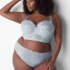 Cheeky Panties^Lane Bryant Metallic Lace High-Leg Panty Gray Dawn