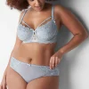 Sexy Panties^Lane Bryant Metallic Lace-Back Cheeky Panty Gray Dawn