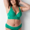 Hipster Panties^Lane Bryant No-Show Lace-Back Hipster Panty Deep Green