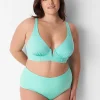 Swim Bottoms^Lane Bryant Swim Brief Cockatoo