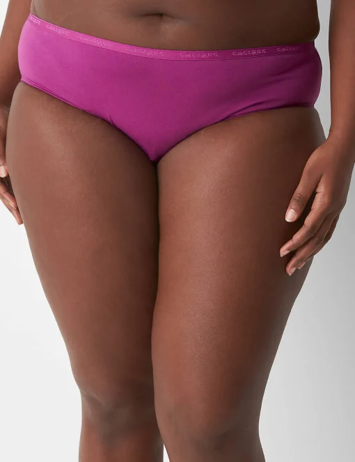 Hipster Panties^Lane Bryant Total Confidence Hipster Panty Purple Wine